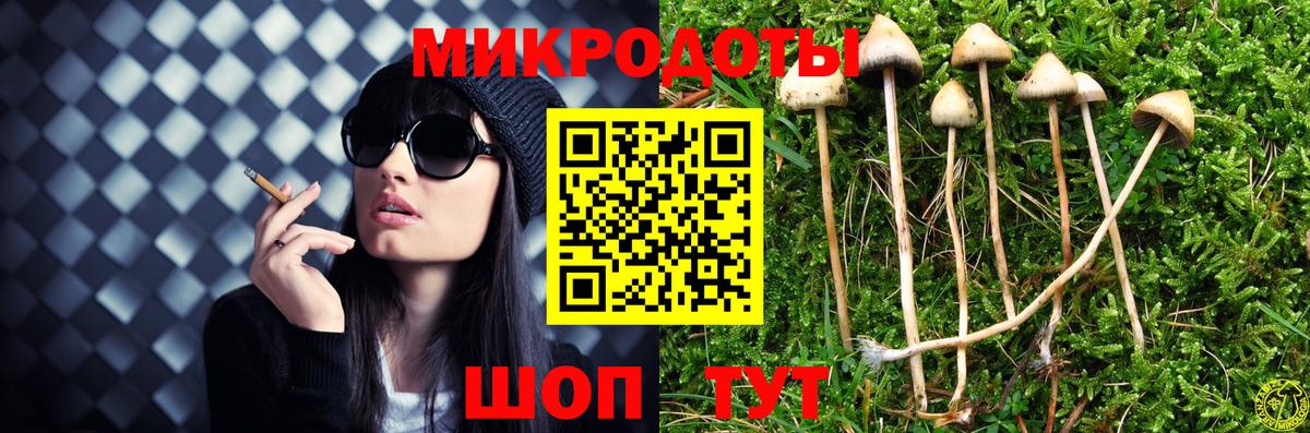 Камень-на-Оби  Галлюциногенные грибы Psilocybe  Вход с VPN 