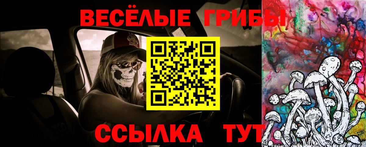 Галлюциногенные грибы прущие грибы Камень-на-Оби